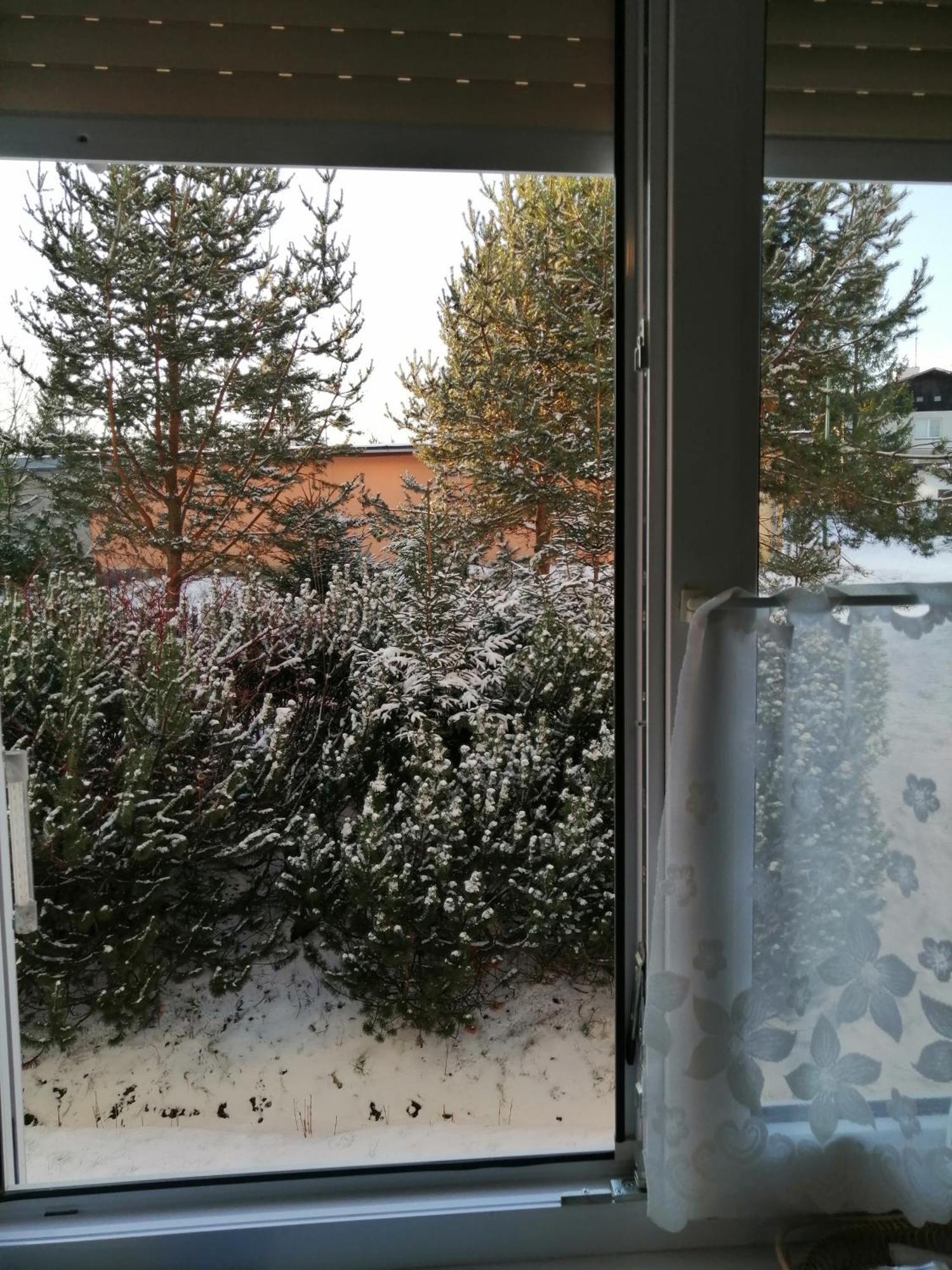 Apartman Palenica Tatranska Strba Ruang foto